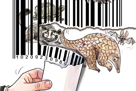 Strict ban on wild animal trade imperative