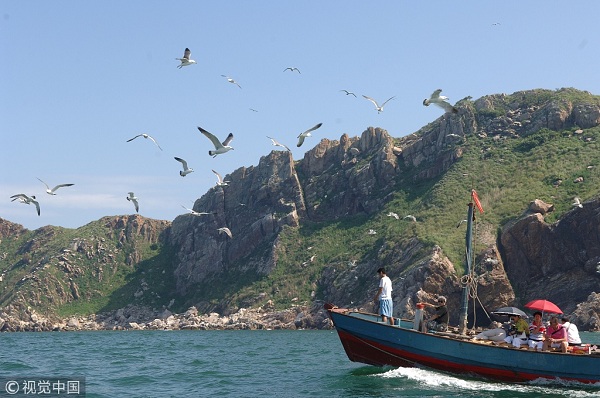 Dalian ushers in ideal bird-watching season