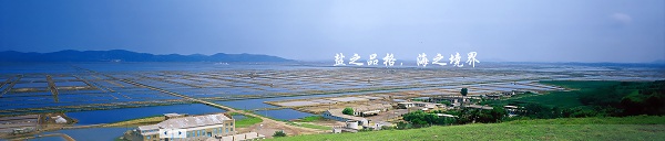 海盐集团.jpg