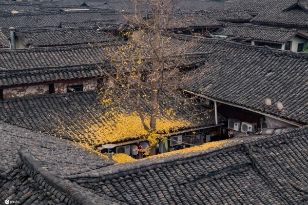 Huaguang Tower Historical and Cultural Block in Langzhong