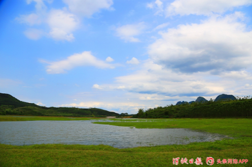 Meadow scenery attracts public to spring outing