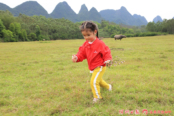 Meadow scenery attracts public to spring outing