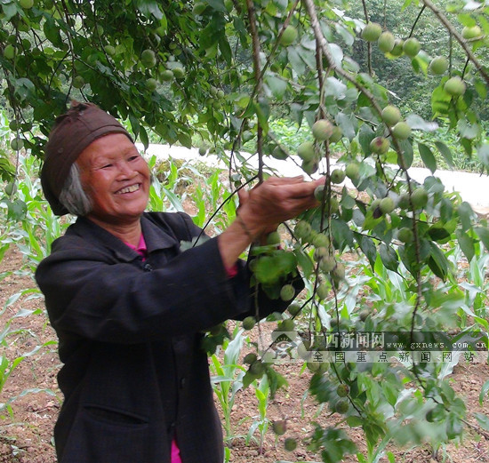 Industrial park built for poverty alleviation in Huanjiang begins construction