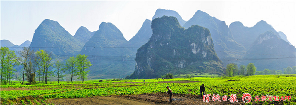 Spring plowing in Yizhou creates a poetic picture