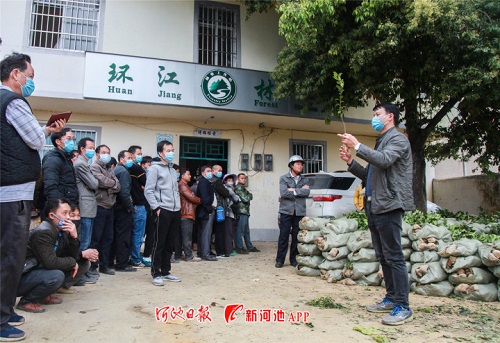 Spring plowing in full swing in Huanjiang