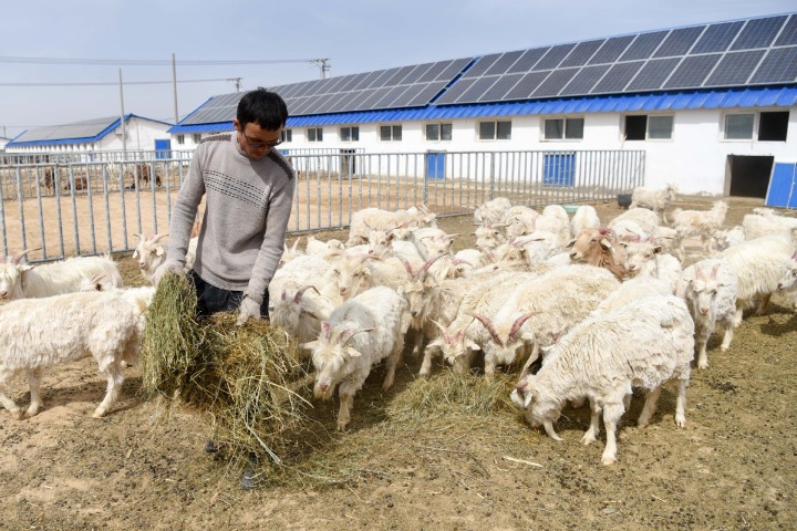 Supportive policies help herdsman out of poverty