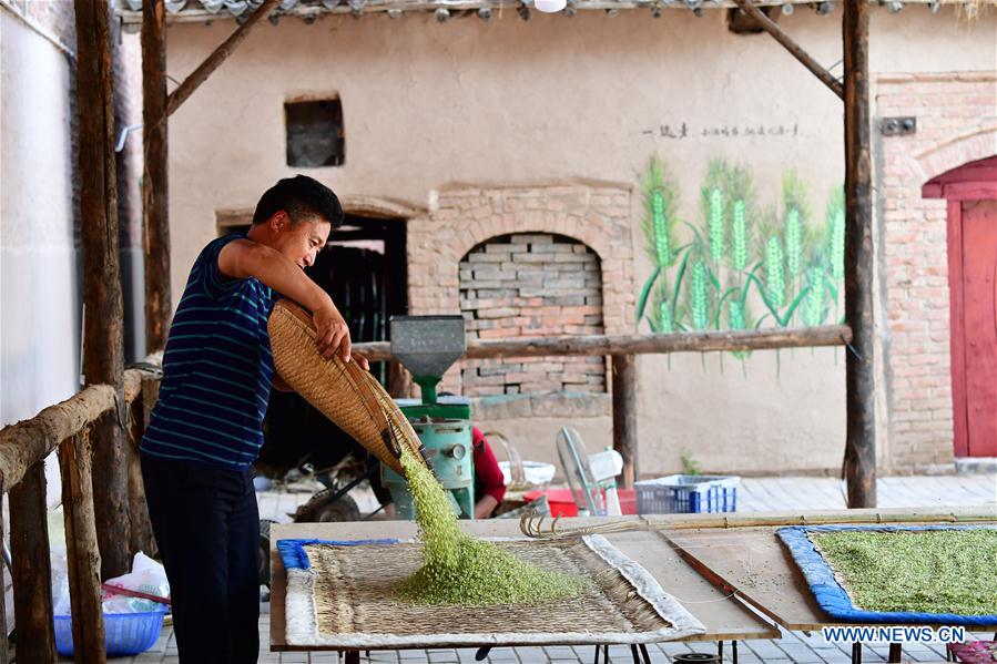 CHINA-HENAN-PASTA-PRODUCTION (CN)