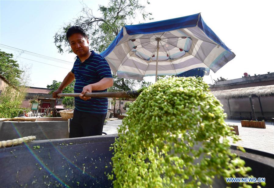 CHINA-HENAN-PASTA-PRODUCTION (CN)