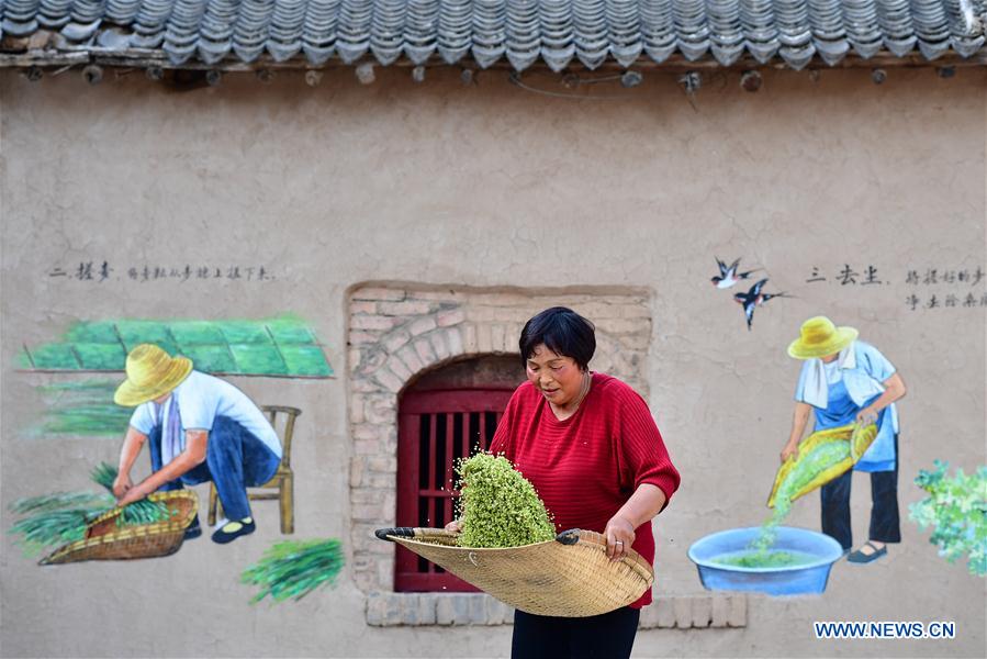 CHINA-HENAN-PASTA-PRODUCTION (CN)