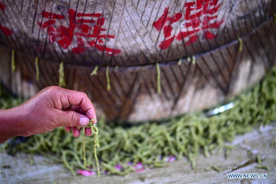 CHINA-HENAN-PASTA-PRODUCTION (CN)