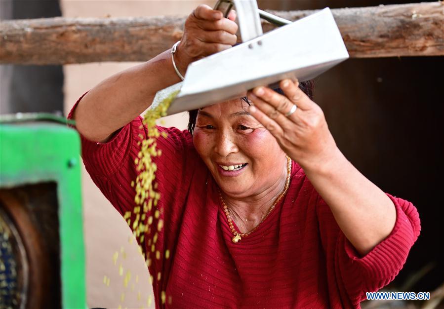 CHINA-HENAN-PASTA-PRODUCTION (CN)