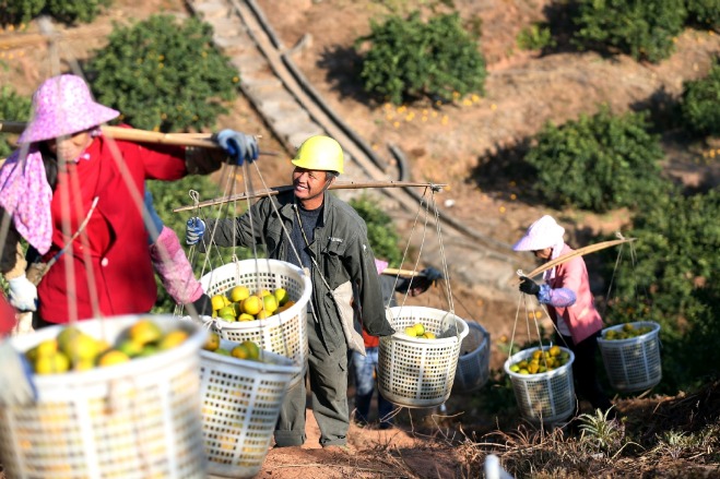 China's central SOEs to help poor regions with farm product sales