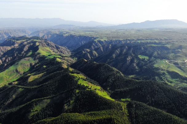 Gansu's Qilian Mountains see major improvement