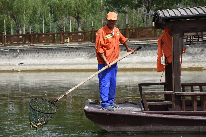 Grand Canal cleanup benefits Tianjin township