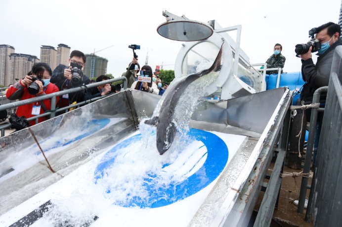 Shanghai passes new law calling for cooperation to protect Chinese sturgeon