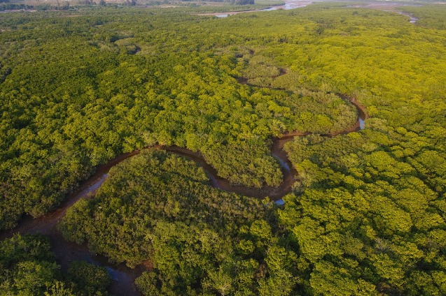 Tibet kicks off its first large-scale aerial afforestation