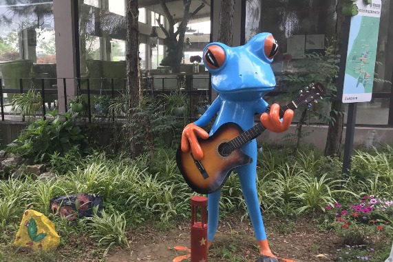 Frogs help villagers hop out of poverty in Jiangsu