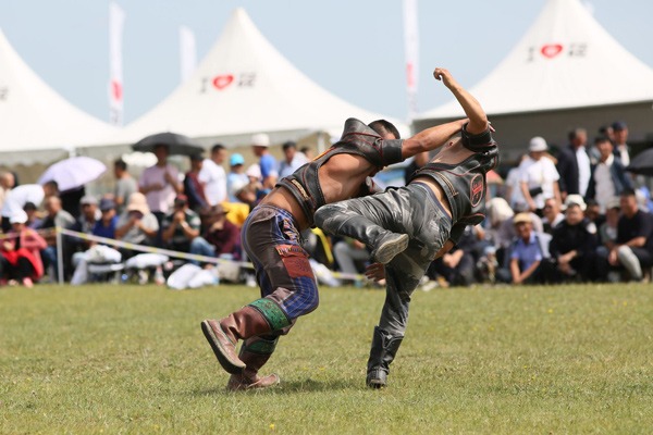 Herdsmen to embrace Naadam festival in North China