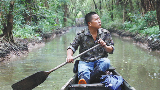 Egret paradise nestles in heart of Foshan