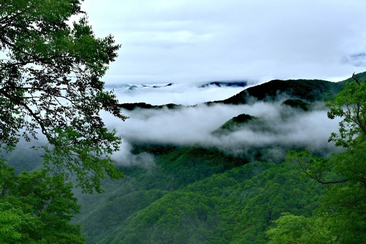 China no longer short of environmental monitoring data: expert