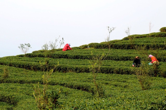 Farmers take road out of poverty in Fujian village