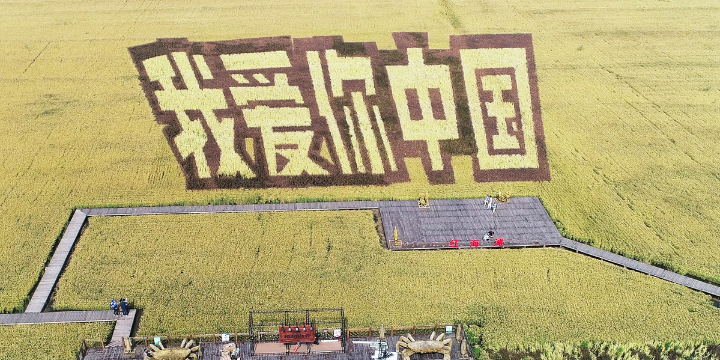 Autumn brings full color to NE China's Liaoning coast