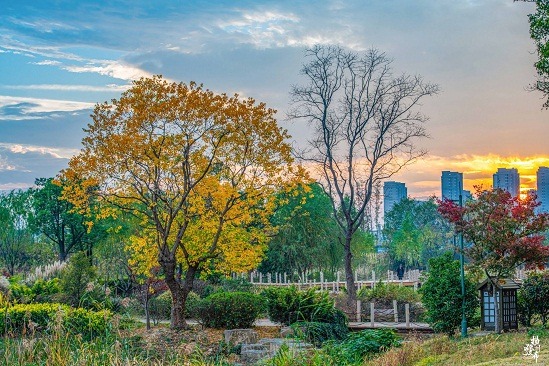 Colorful autumn views of Yangzhou's Sanwan