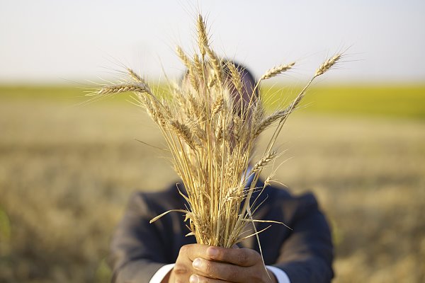 Chinese business communities donate food to poors in Botswana