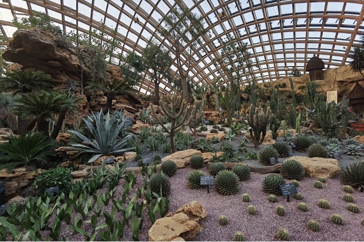 Botanic garden stays green in winter