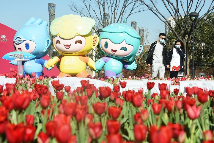 Tulips warm up Hangzhou in winter