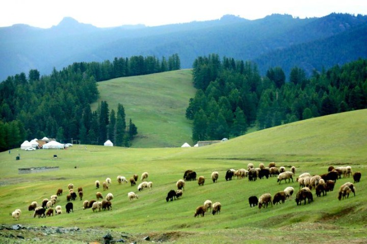 Documentary traces the colorful history of Xinjiang