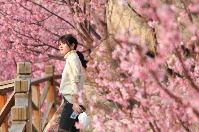 Fujian farm awash in blossoms from Taiwan