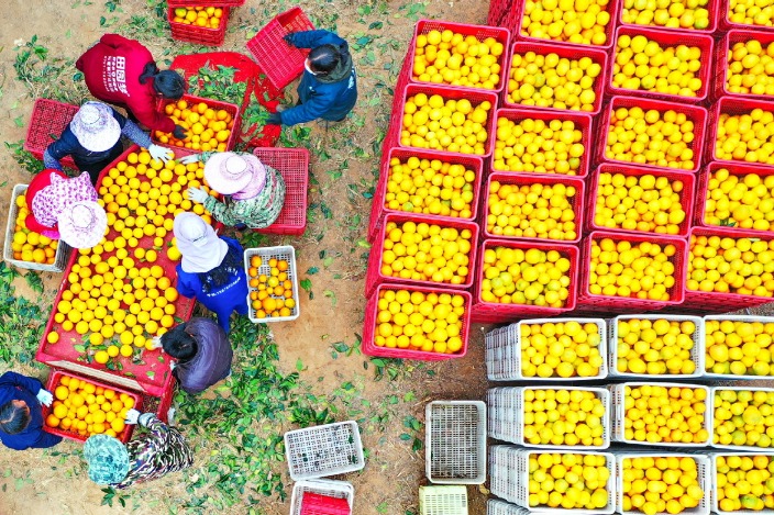 Going organic helps fruit business blossom