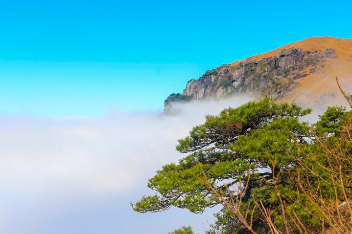 National 5A Scenic Spot blanketed with a sea of clouds