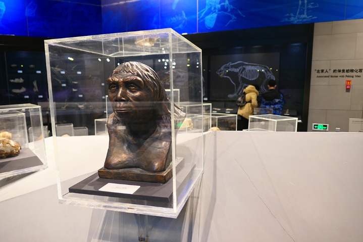 Museum restores life scenes of Peking Man