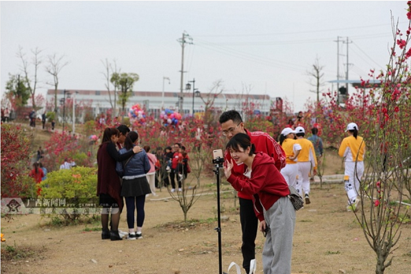 Dahua gains popularity among tourists during Spring Festival