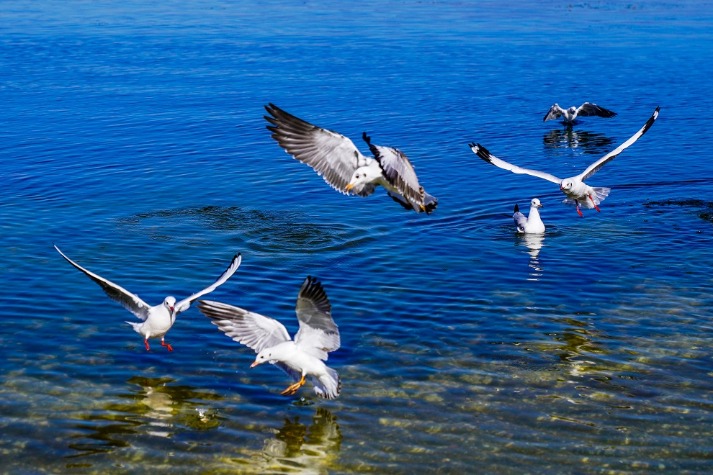 Picturesque scenery of Cangshan Mountain and Erhai Lake in Dali