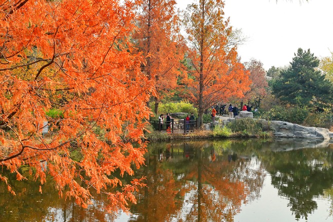 Beijing Botanical Garden, Beijing