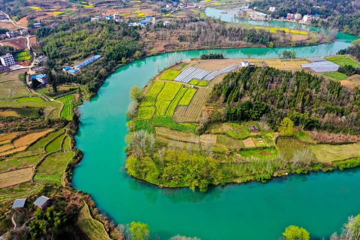 Rape seed flowers a trendsetter of rural tourism in Hubei