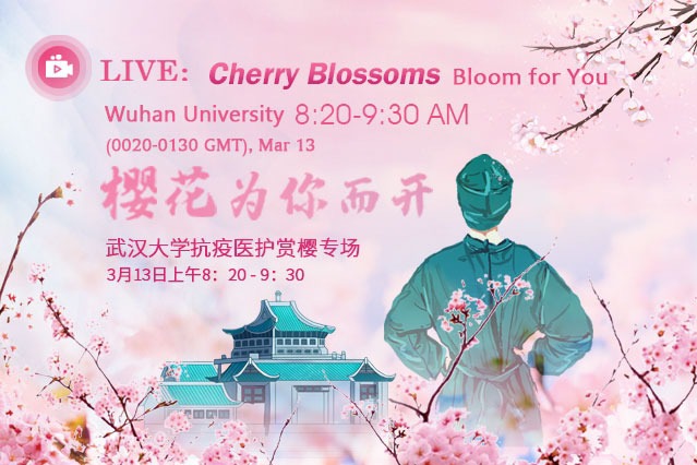 Watch it again: Wuhan welcomes COVID-19 heroes back for cherry blossoms