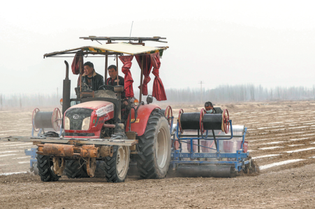 Mechanization of Xinjiang's cotton sector approaches 90%