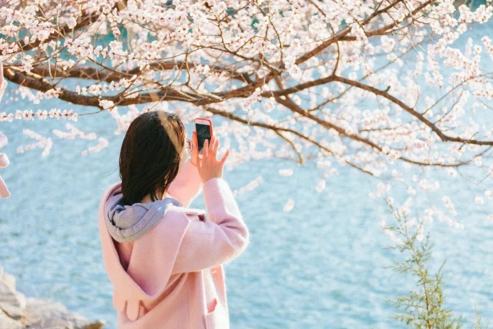 Poetic spring at PKU: happy are buds to meet