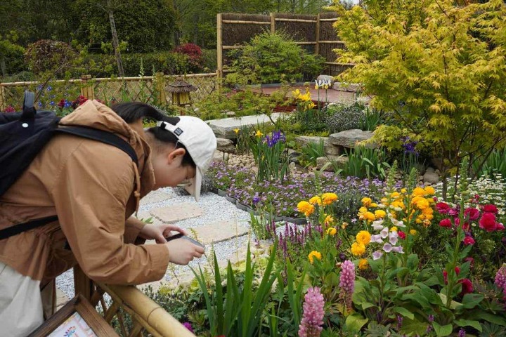 China Flower Expo enters last stage of preparations