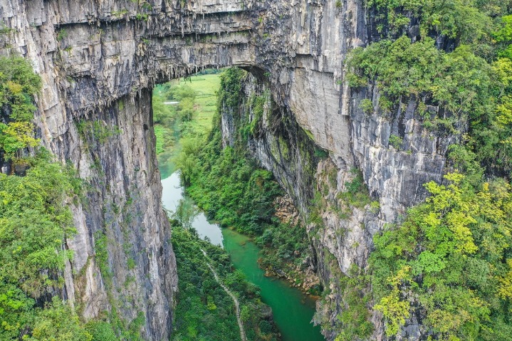 Karst landscapes add to natural forest beauty