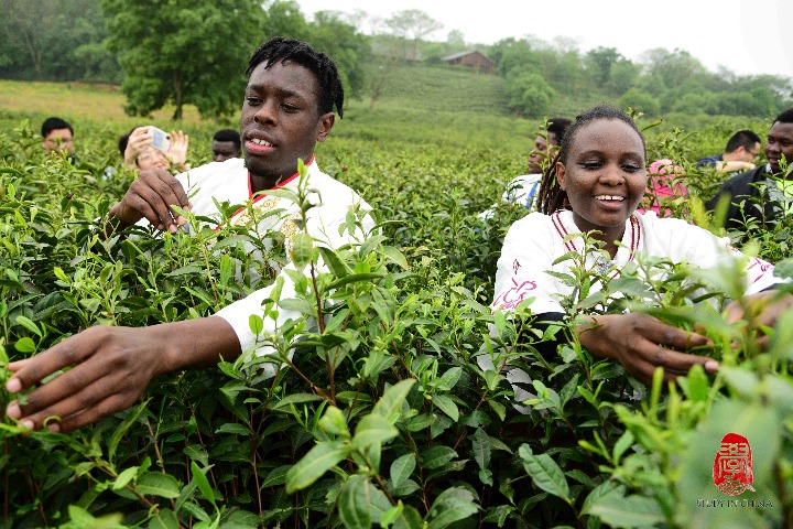 Tea-time for international students