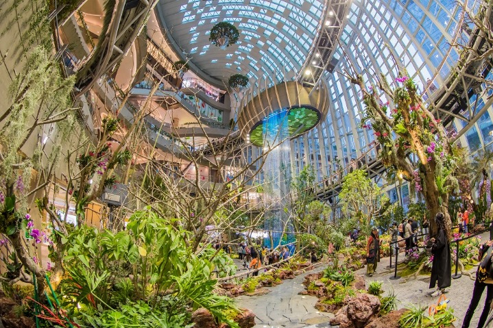 Jungle-like shopping mall opens in Chongqing