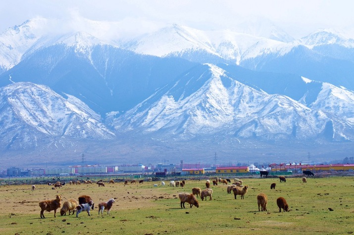 Beautiful spring scenery seen in Balikun