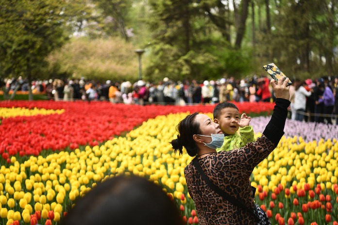 China's domestic tourism market bounces back: media