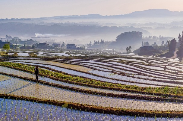 Morning mist blankets farmlands in Chongqing