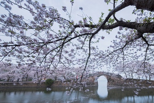 Yuantouzhu Island, Wuxi